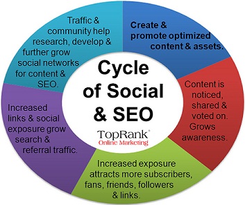 The Cycle Of Social And SEO