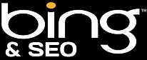 Bing and SEO Logo