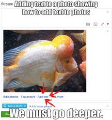 Google+ Adding Text To Photos