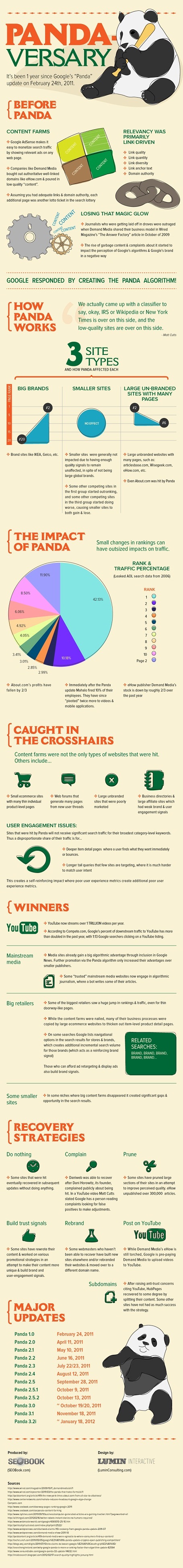 Google Panda Anniversary Infographic