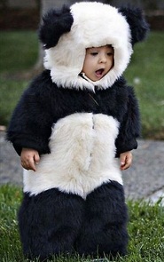 Little Panda