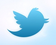 Twitter New Bird Logo
