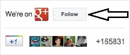 Google+ Badge Follow Button