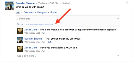 Google+ Spam Comments Removed