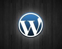 WordPress Blogging Platform Logo