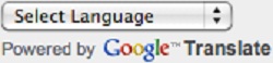 Google Website Translator Select Language