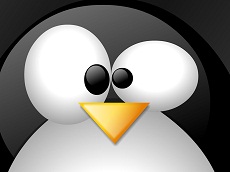 Google Penguin Update One Month Summary and Thoughts