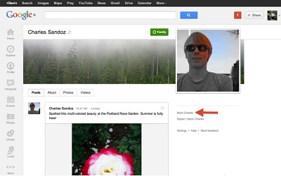 Google+ Mute Friend