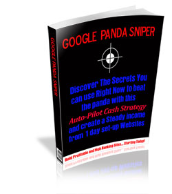 Google Panda Sniper Fraud