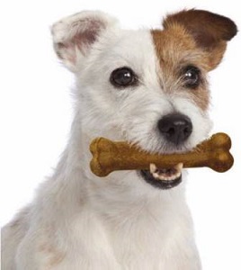 safe chews are nylabone chews safe for dogs safe chews are nylabone chews safe for dogs