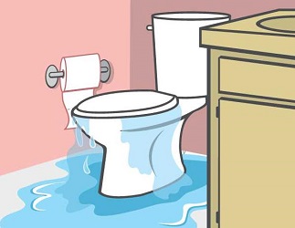 toilet blocked and full of water