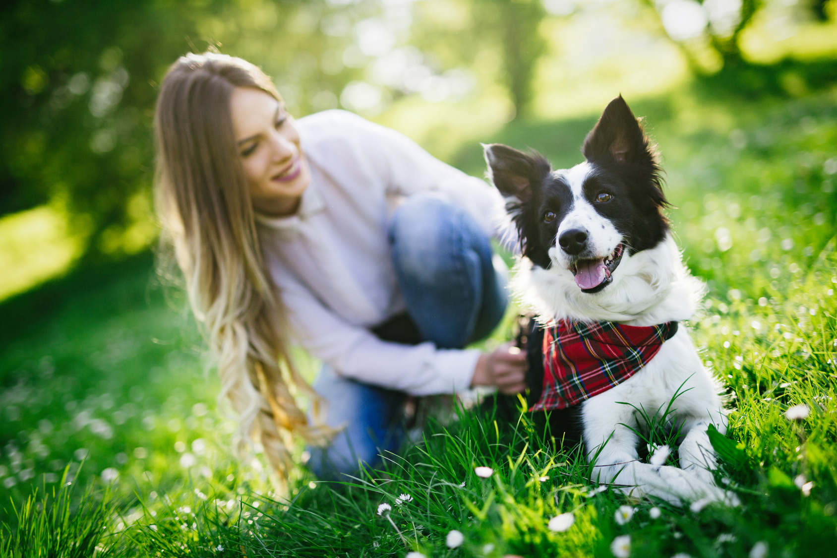 healthy pets