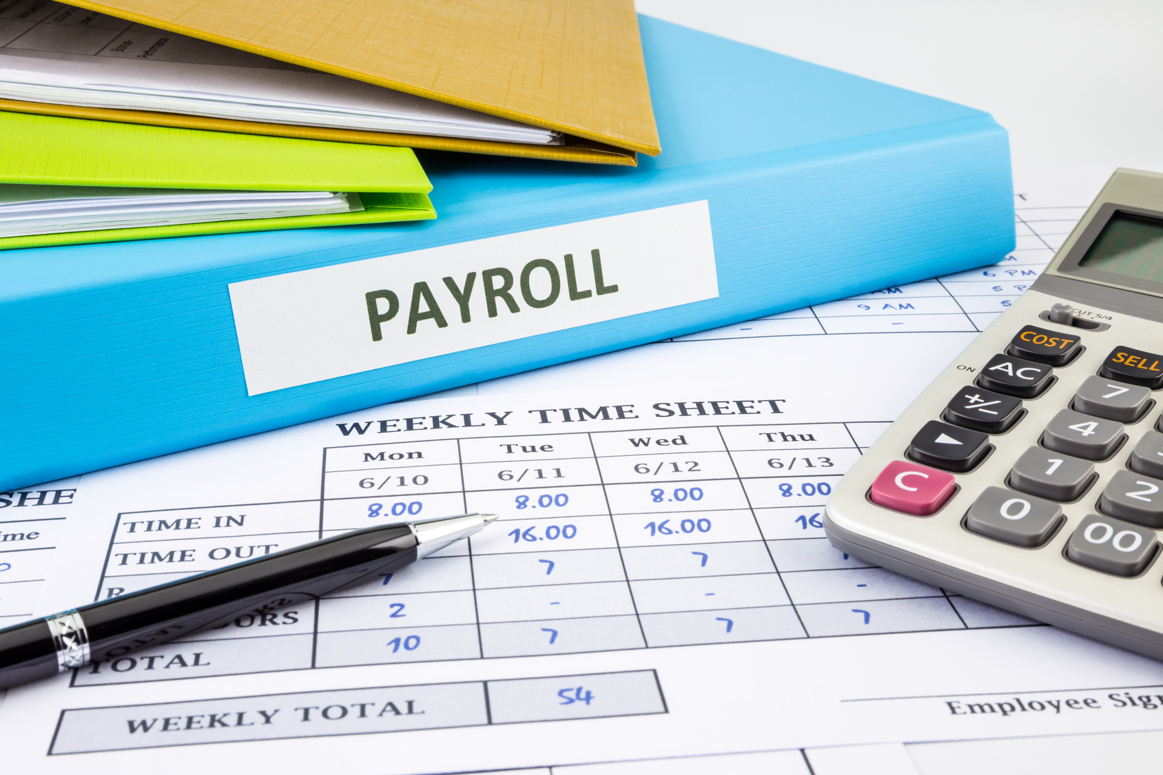 payroll options