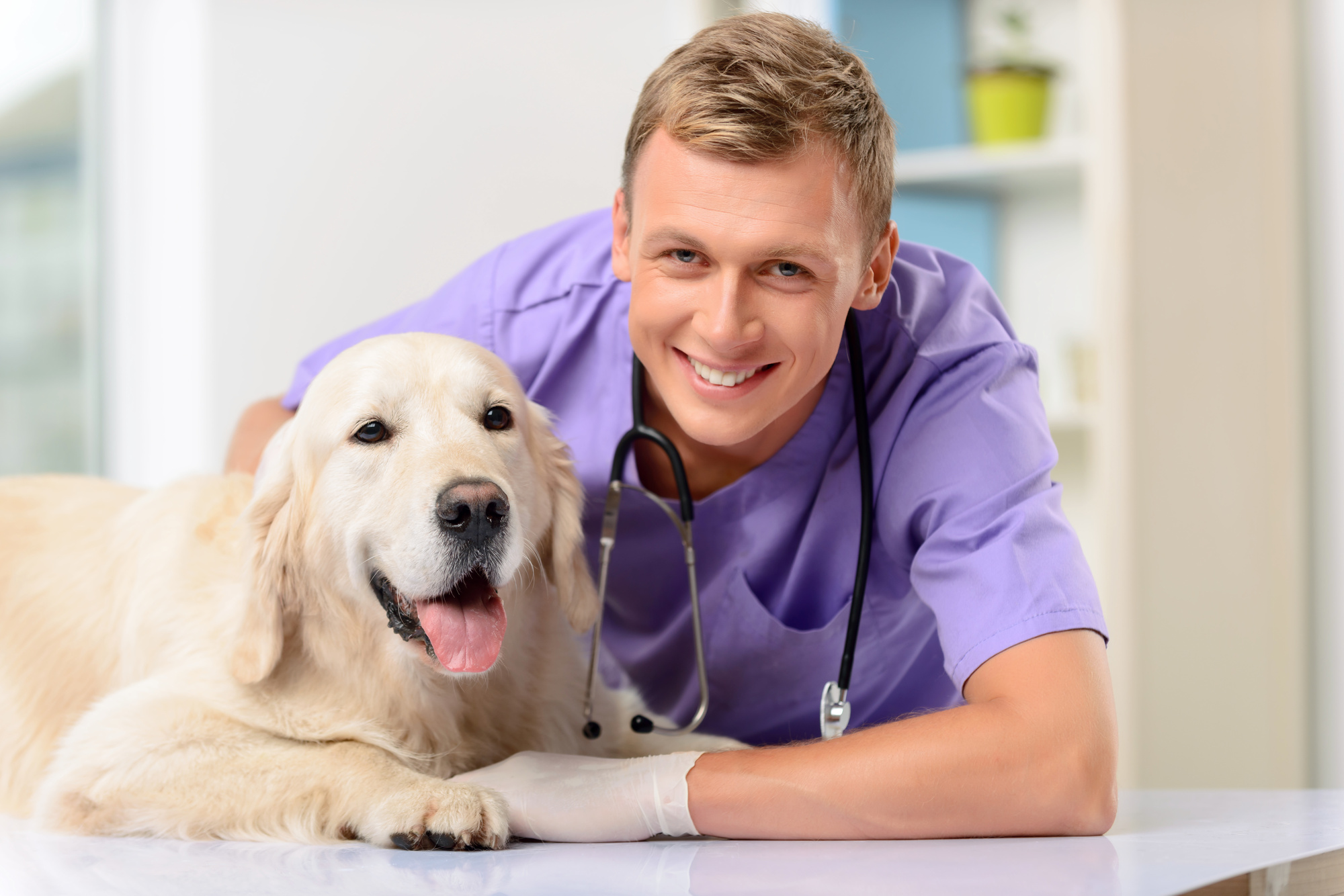 pet vet home visit