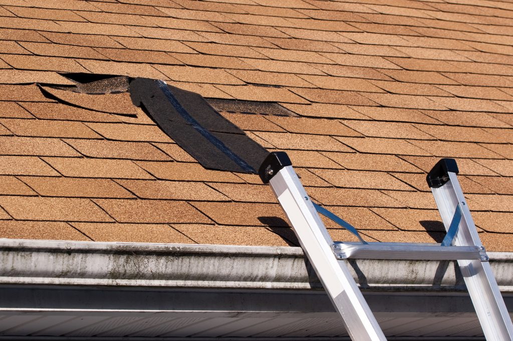 7 Things to Consider When Buying a Roofing Ladder