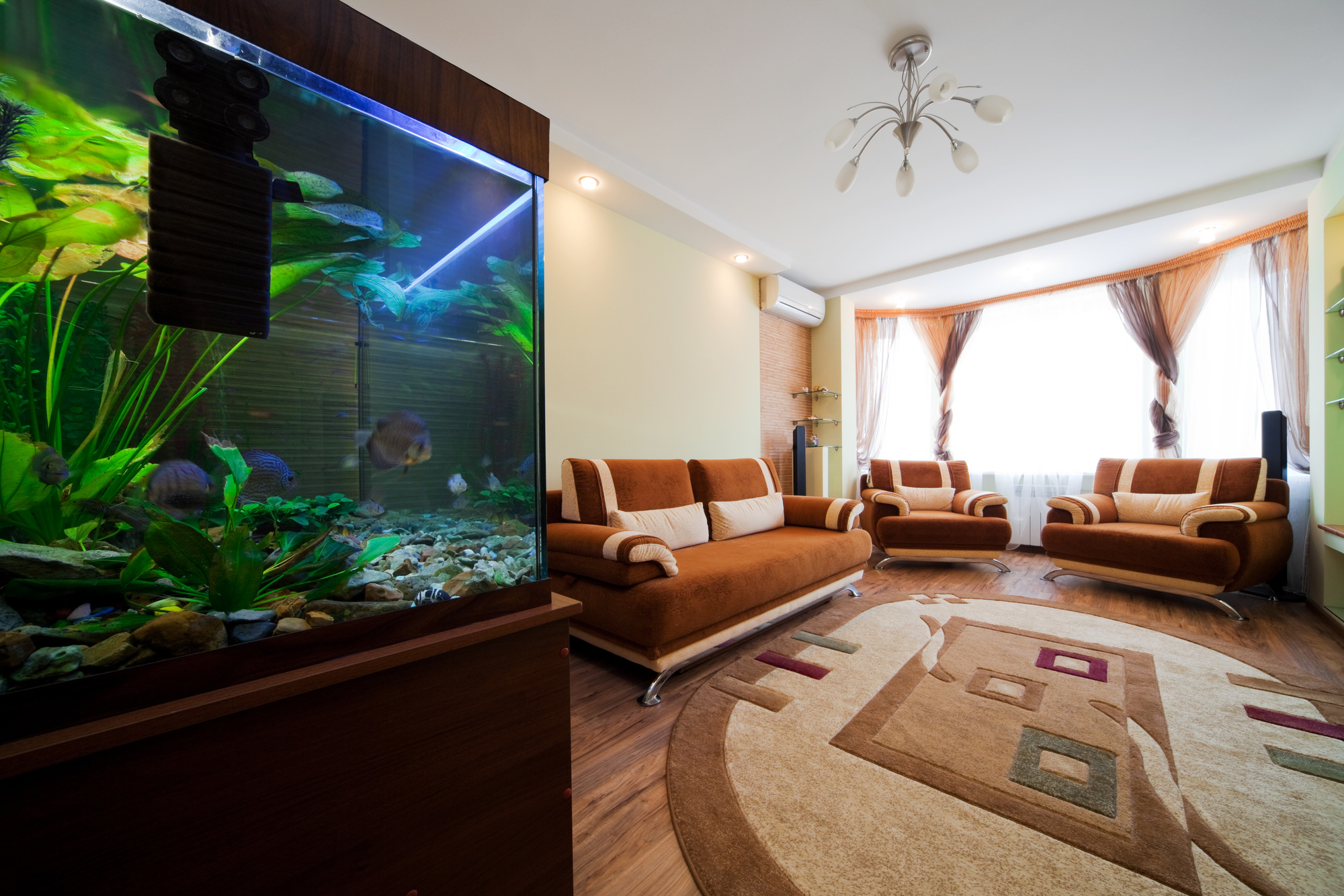 home aquarium