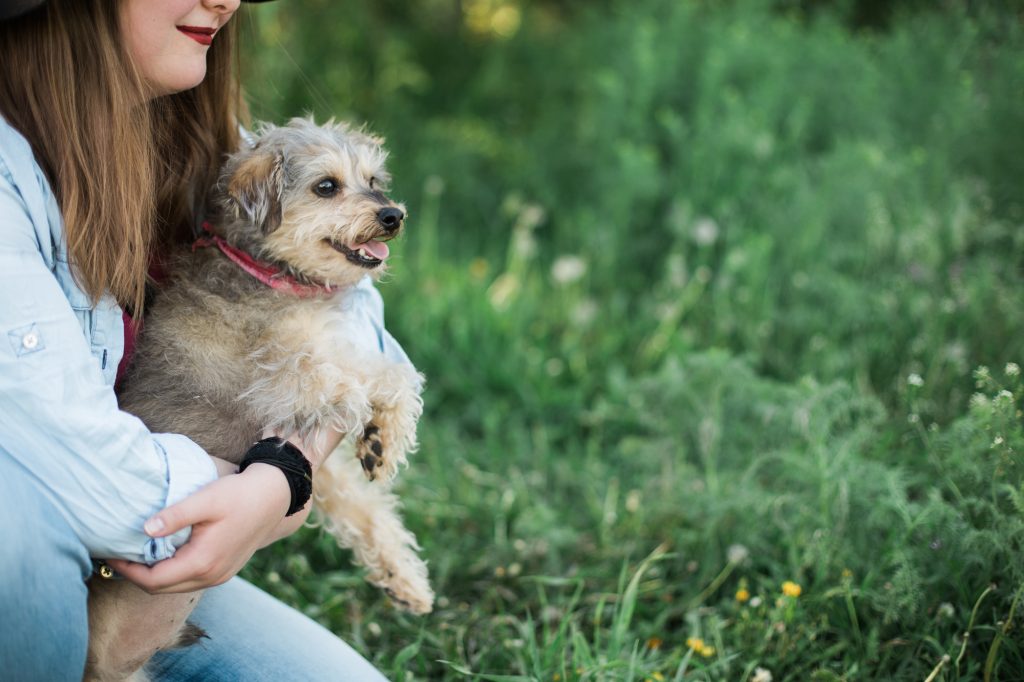 Emotional Support Animal Laws You Need to Know About